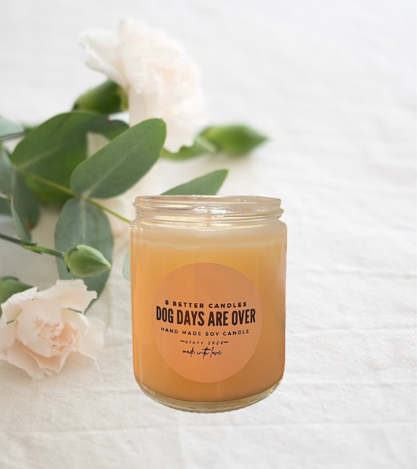 Dog Days are Over *Odor Eliminating Candle*